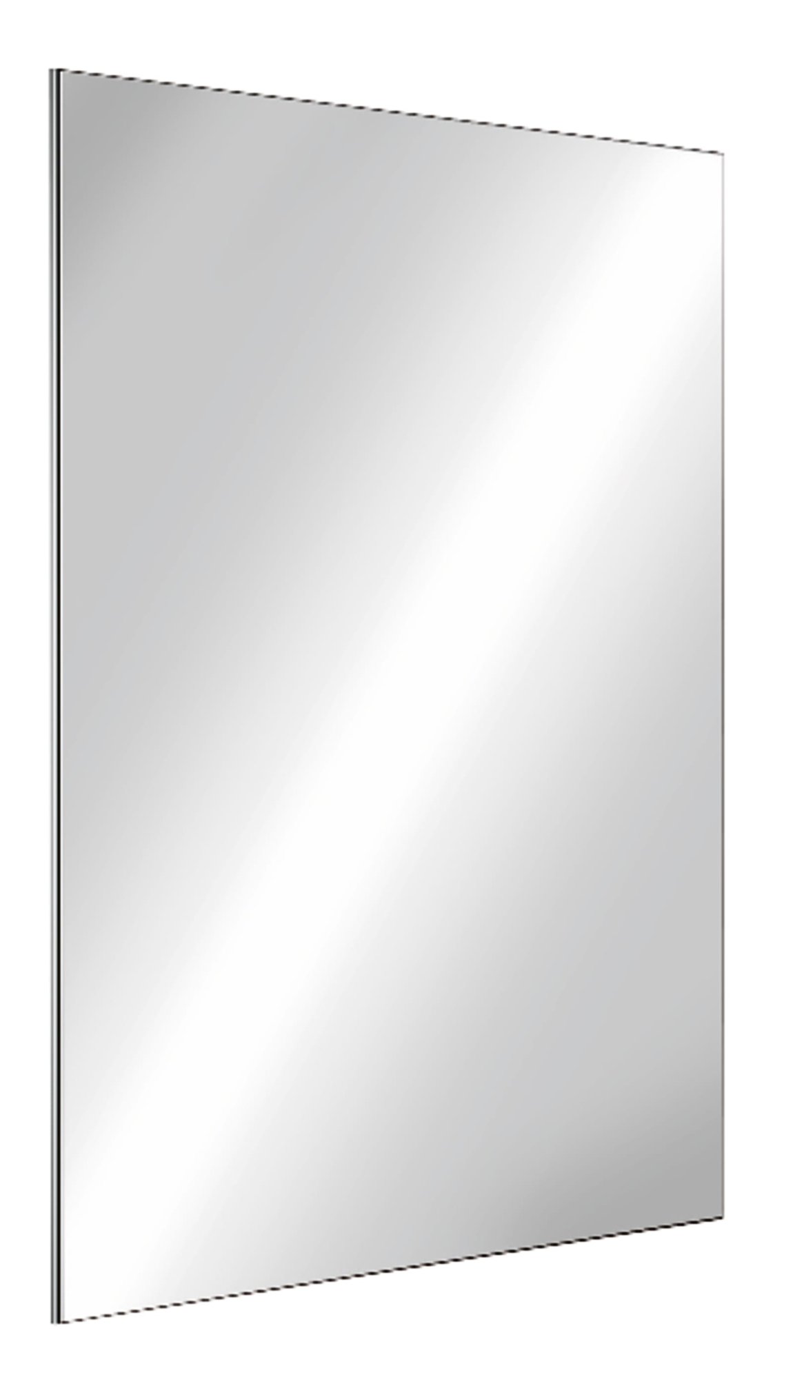 Delabie onbreekbare spiegel 10 x 485 x 585 rvs spiegelgepolijst