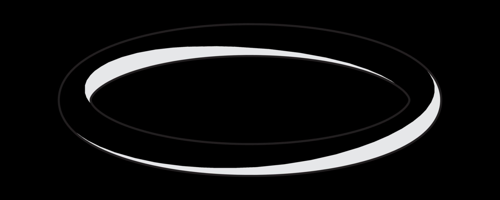 HANSA O-ring d 20x2