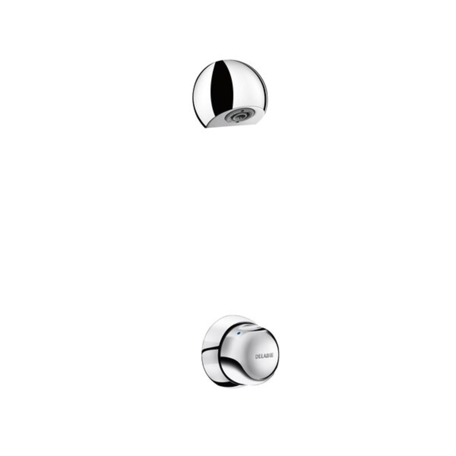 Delabie Tempomix doucheset technische ruimte met mengkraan 3/4" en round douchekop, voor wand 220mm, zelfsluitend 30sec, chroom