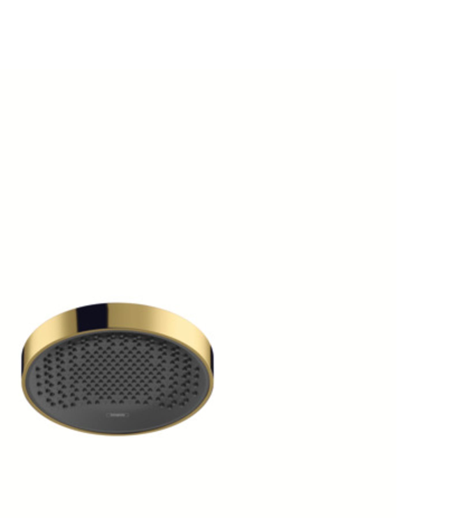 Hansgrohe Rainfinity 250 1jet hoofddouche 9L plafond gepolijst goud optic
