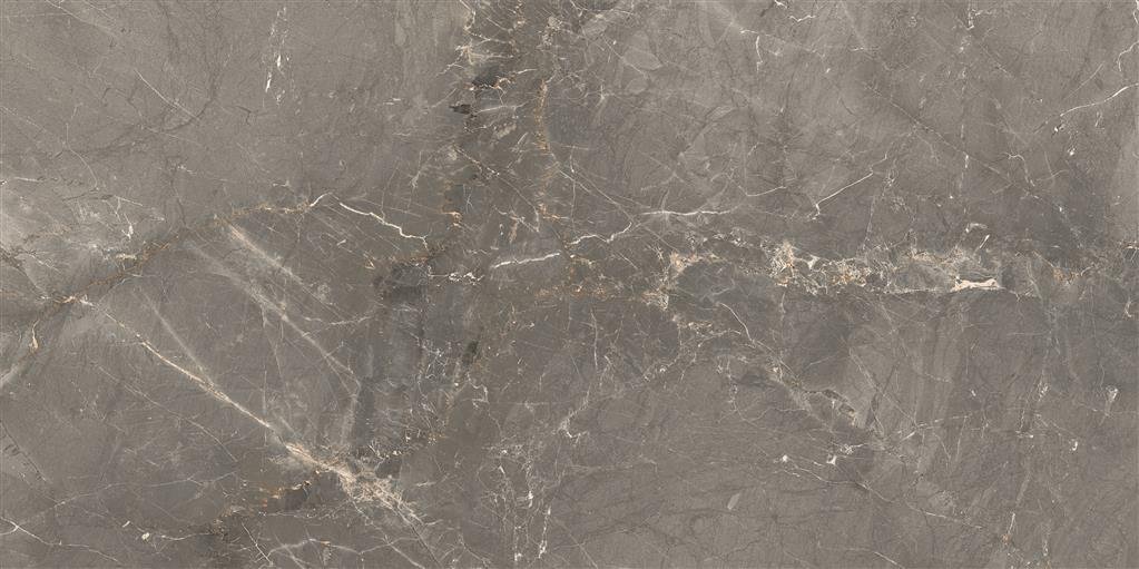 Cerdomus Sybil Silver Matt 30x60 (R) thumbnail 5