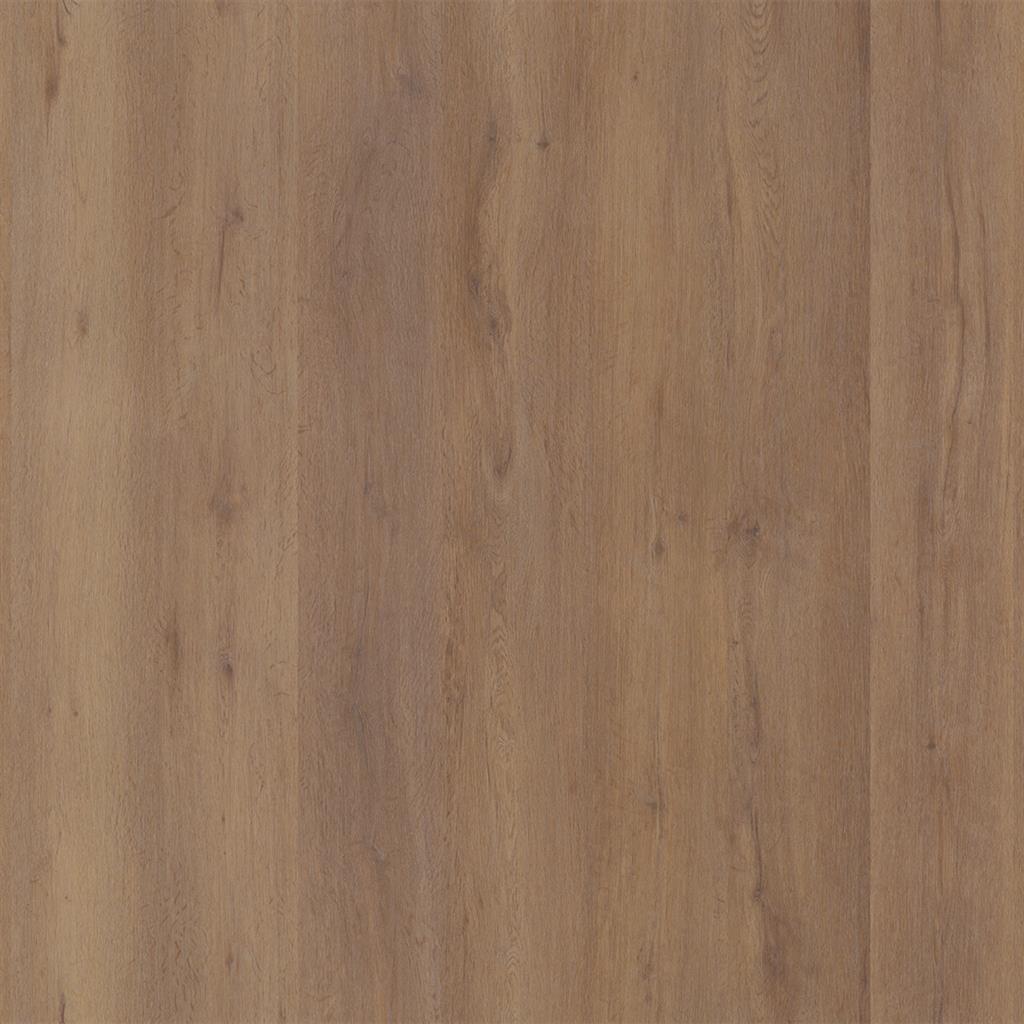 Woudrijk Lichtbruin Eiken