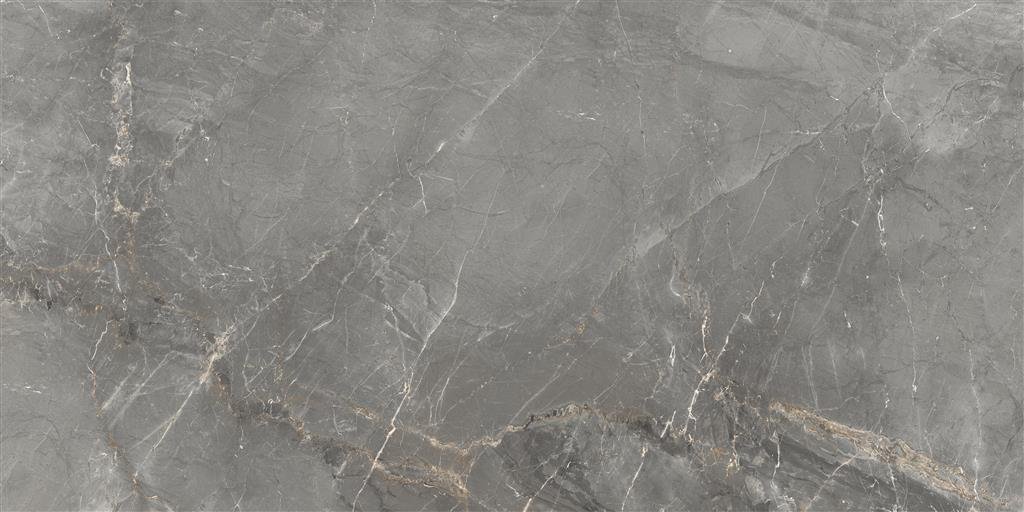 Cerdomus Sybil Silver Polished 60x120 (R)