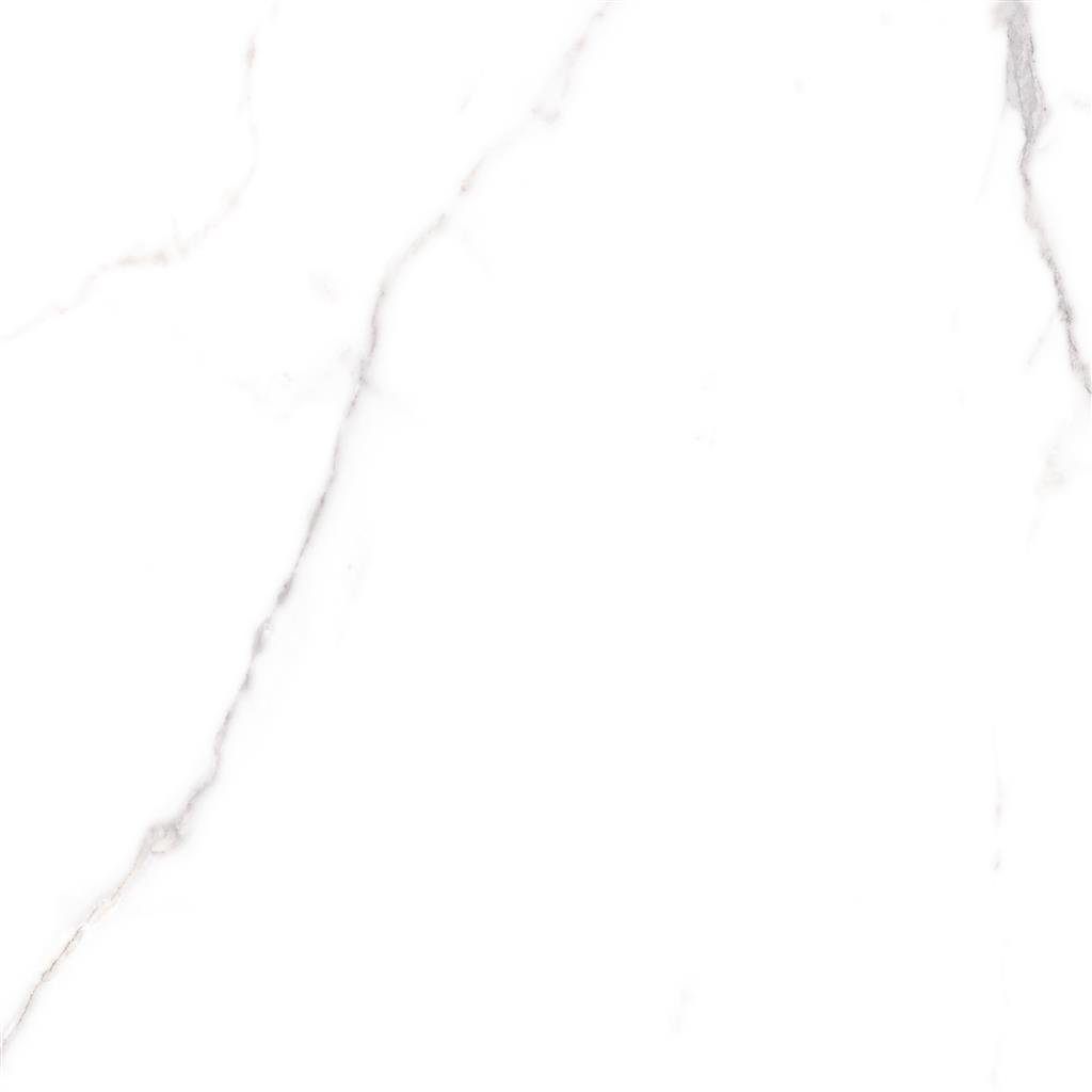 Cerdomus Omnia Statuario Polished 60x60 (R)