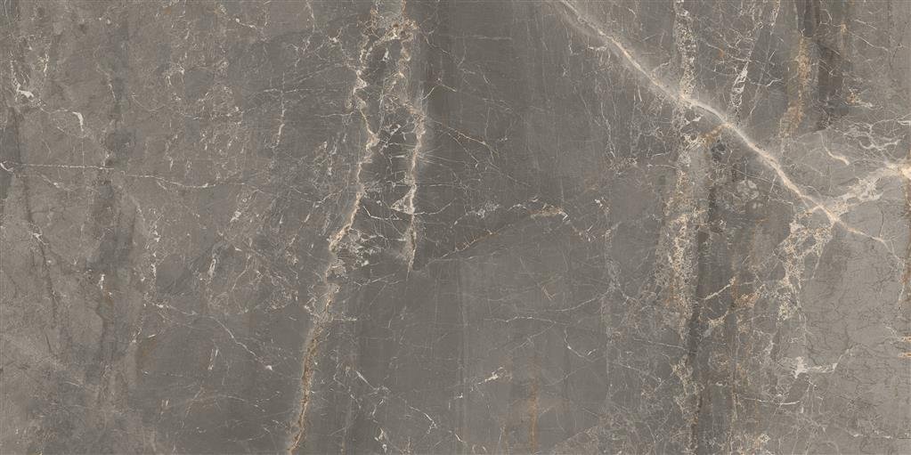 Cerdomus Sybil Silver Matt 30x60 (R) thumbnail 4