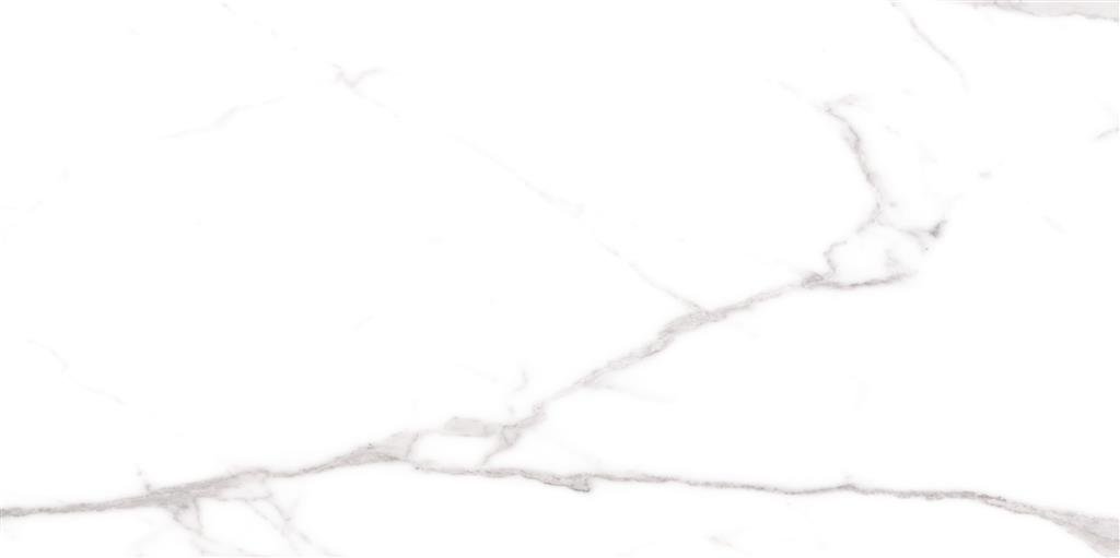 Cerdomus Omnia Statuario Matt 60x120 (R)