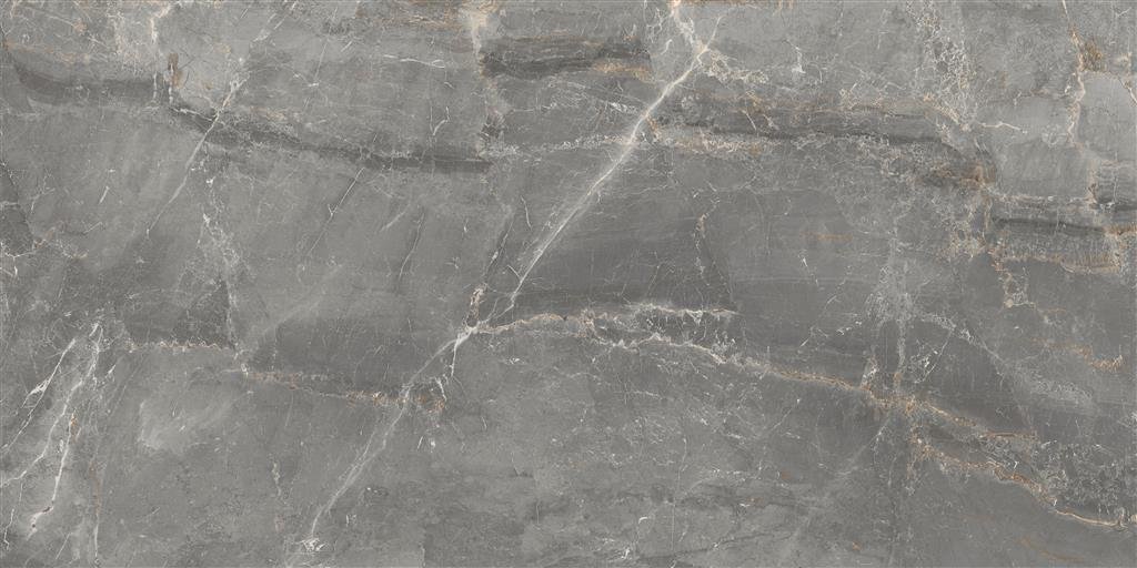 Cerdomus Sybil Silver Matt 60x120 (R) thumbnail 6