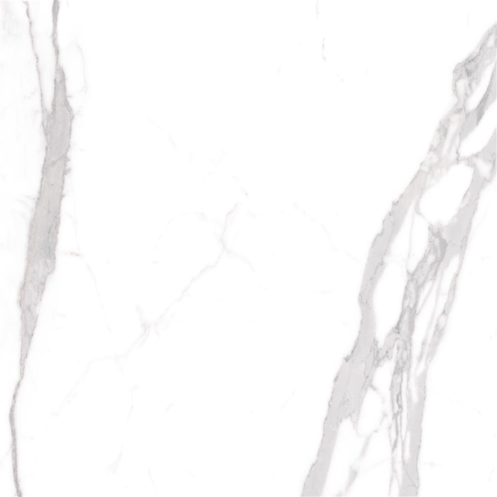 Cerdomus Omnia Statuario Polished 120x120 (R) thumbnail 2
