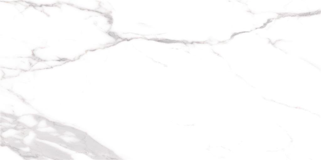 Cerdomus Omnia Statuario Matt 60x120 (R) thumbnail 2