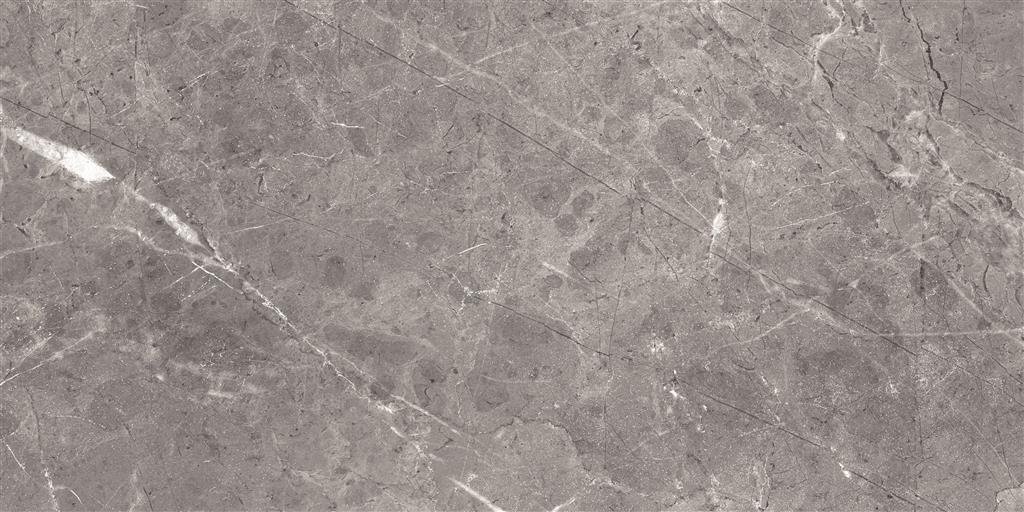 Ecoceramic Luxe Bolonia Polished 30x60 (R)