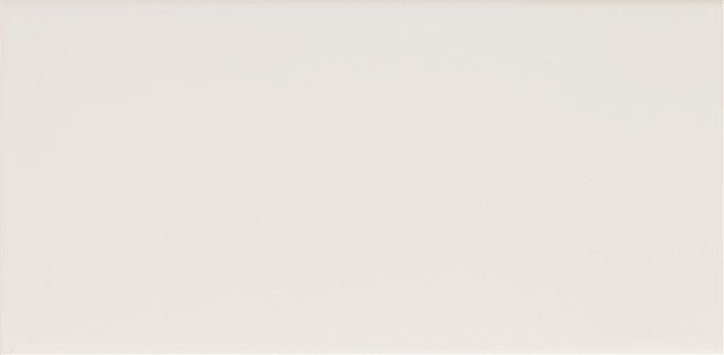 Steenbok Project Wit Glans 15x30 (M)