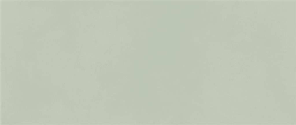 Atlas Concorde Boost Color Mint Matt 50x120 (R)