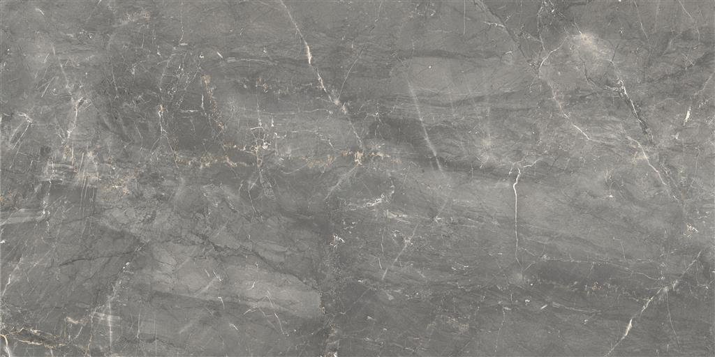 Cerdomus Sybil Silver Matt 60x120 (R) thumbnail 4