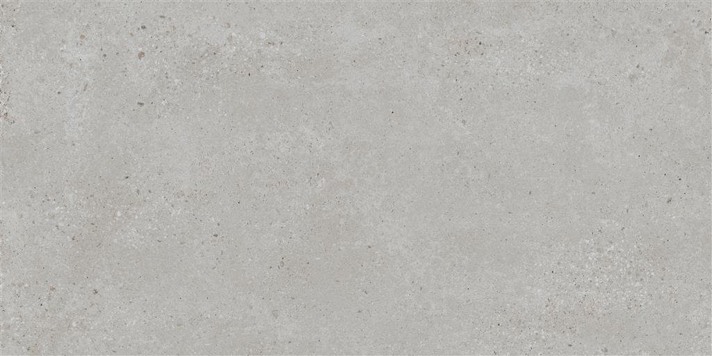 Ecoceramic Bogey Silver 60x120 (R)