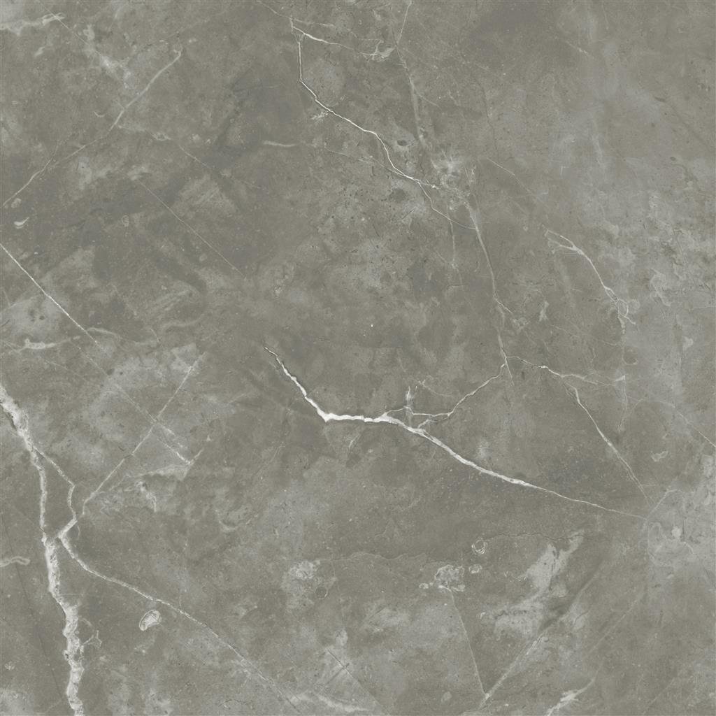 Ecoceramic Luxe Puccini Gris Polished 60x60 (R)