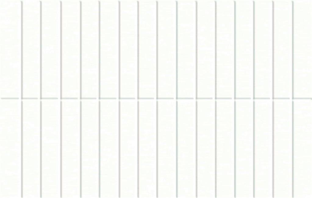 Recer Infinity White REV. 25x40 Mosaic