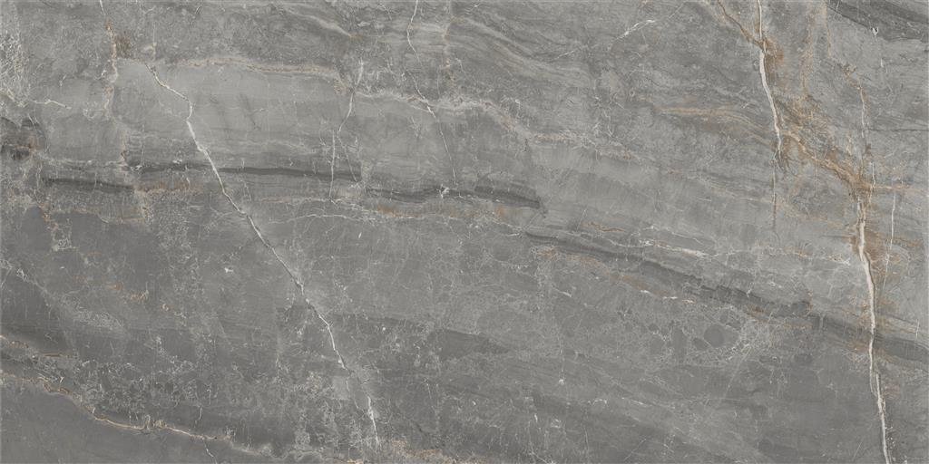 Cerdomus Sybil Silver Polished 60x120 (R) thumbnail 4