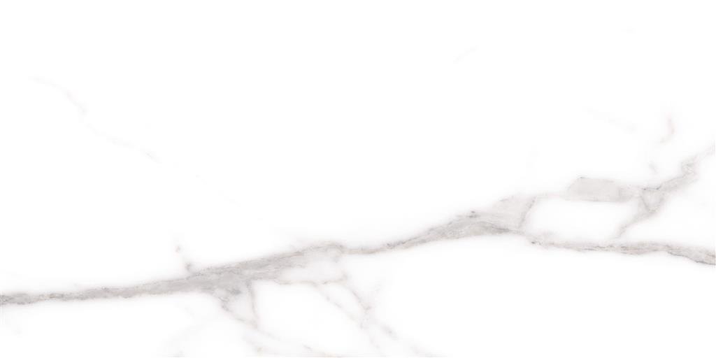 Cerdomus Omnia Statuario Matt 30x60 (R)