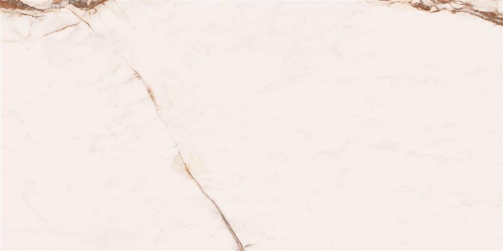 Cerdomus Omnia Machia Vecchia Matt 60x120 (R) thumbnail 2