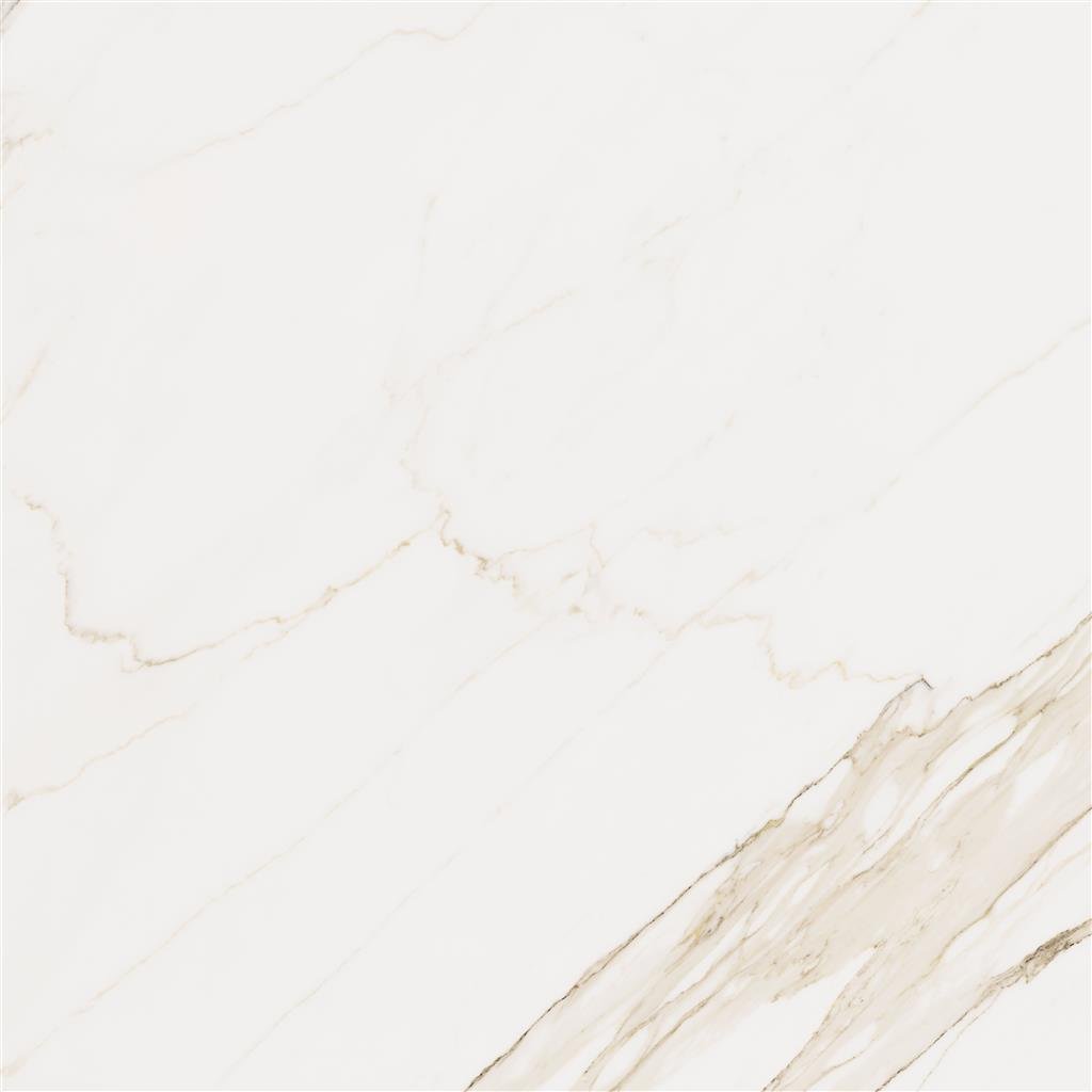 Cerdomus Omnia Calacatta Polished 120x120 (R)