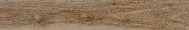 STN vt Bayard Natural 15x90