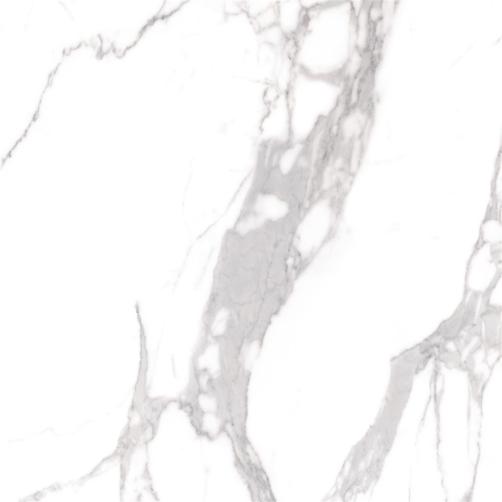 Cerdomus Omnia Statuario Polished 120x120 (R)