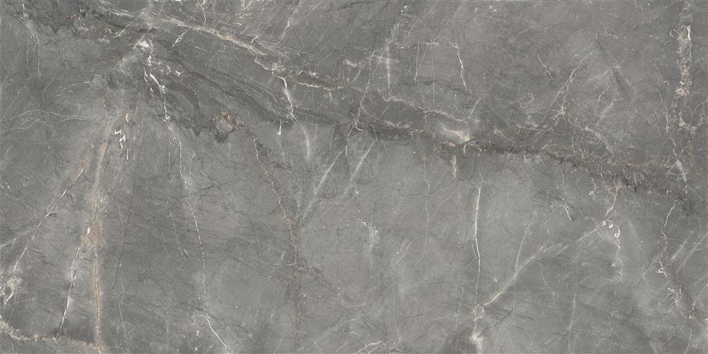 Cerdomus Sybil Silver Polished 60x120 (R) thumbnail 3