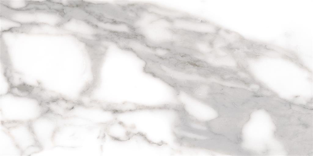 Cerdomus Omnia Statuario Matt 30x60 (R) thumbnail 4