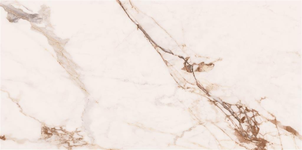 Cerdomus Omnia Machia Vecchia Matt 60x120 (R) thumbnail 3