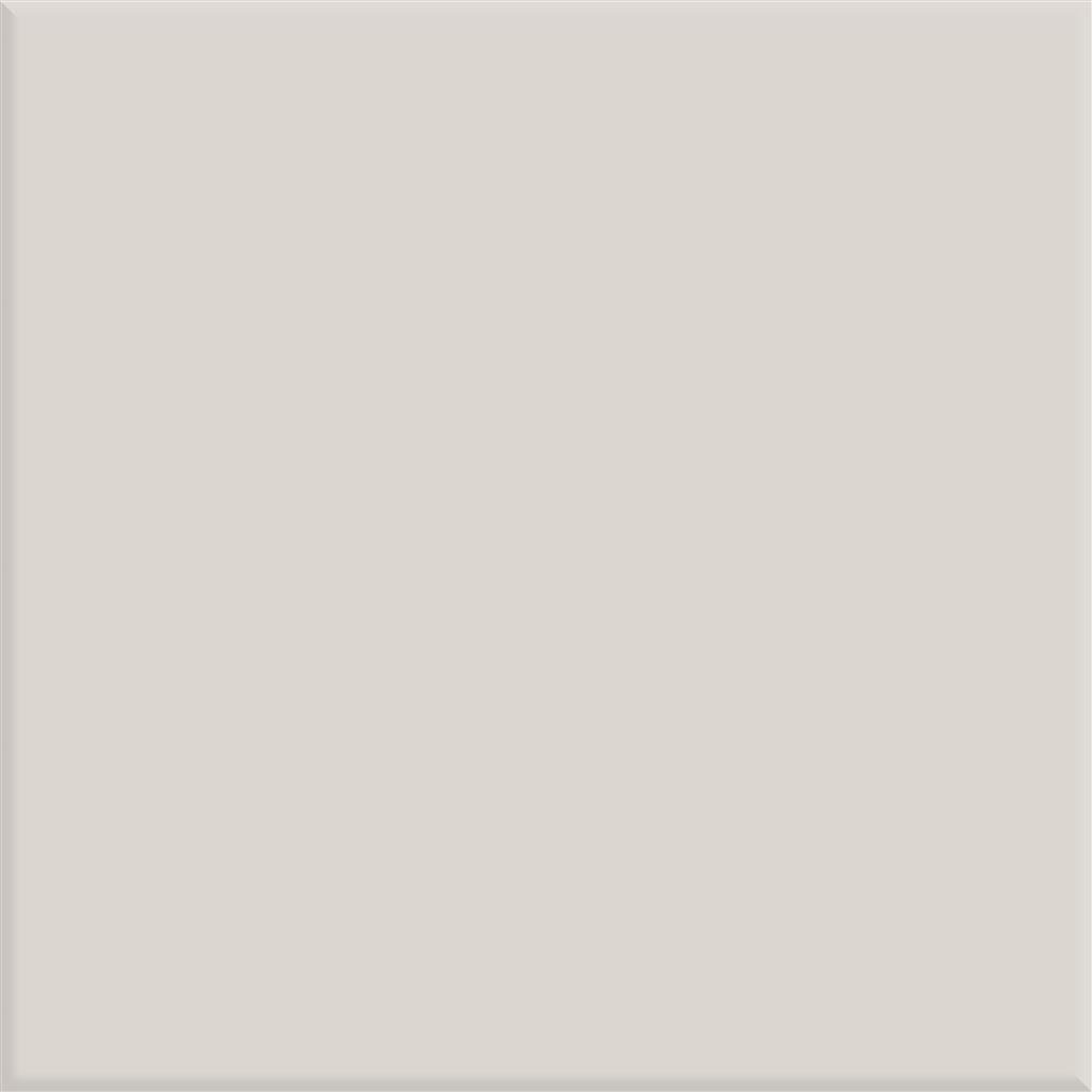 Steenbok Project Zilver Grijs Glans 15x15 (M)