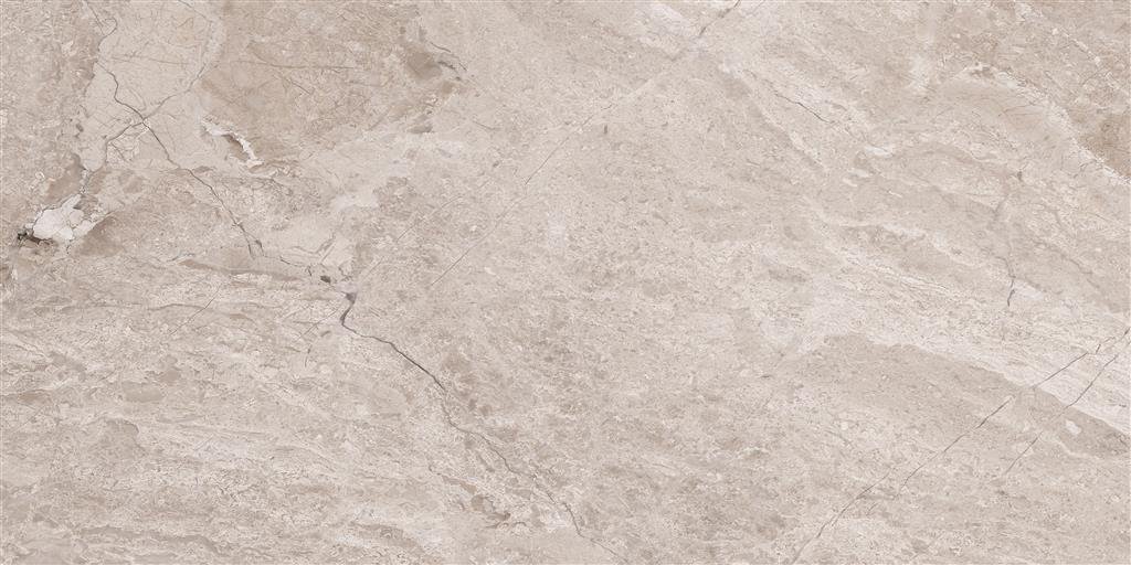 Cerdomus Omnia Hermitage Polished 30x60 (R)