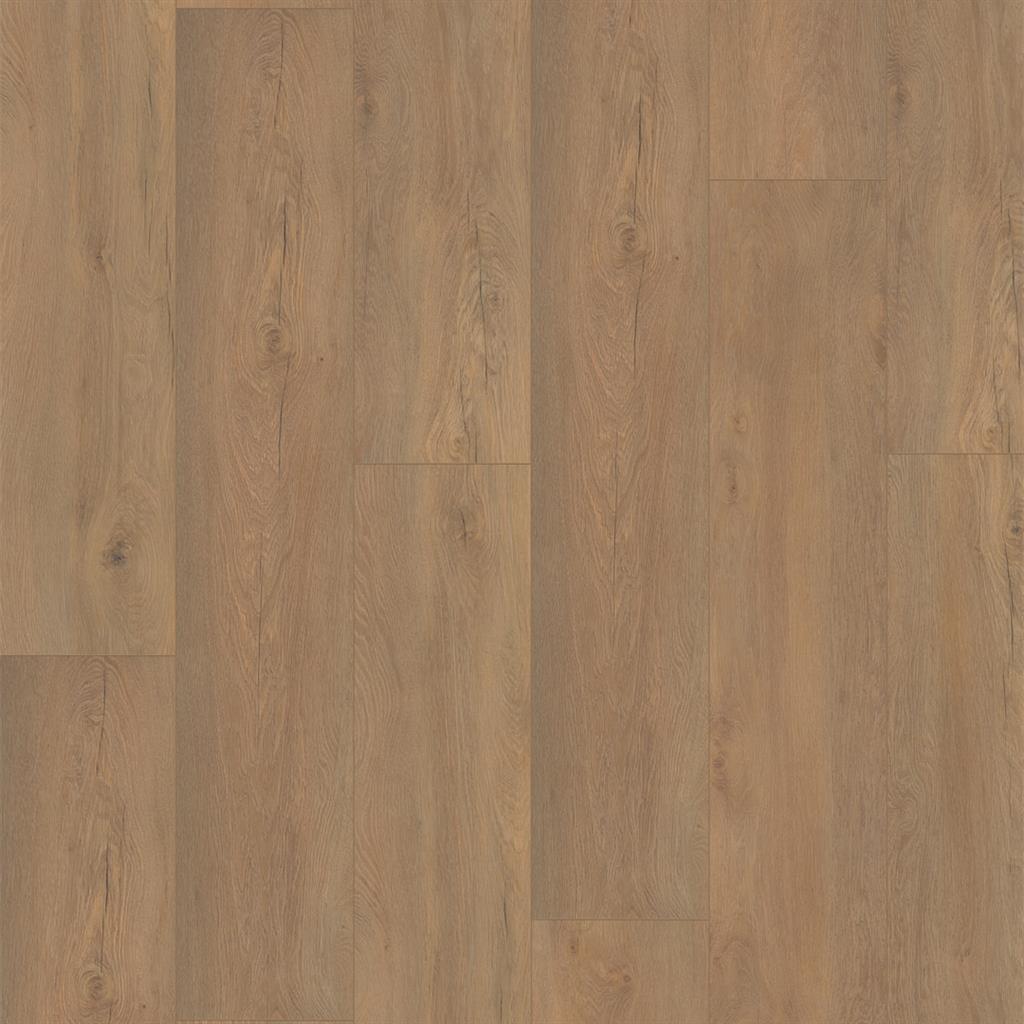 Marktplein Natuur Eiken