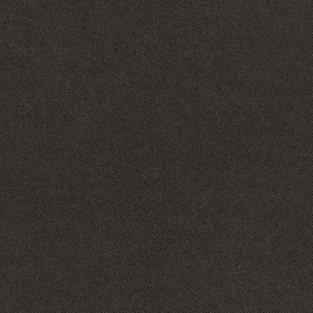 Schoonloopmat Galerij donkergrijs 200cm - incl. 2x2,5cm stootrand