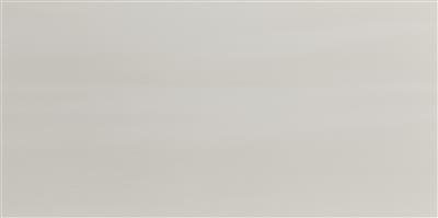 Steenbok Utrecht Grijs 31x61 Ongerectificeerd