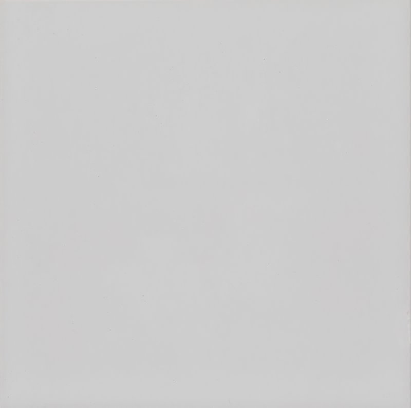 LB wt Glans Wit 15x15NR