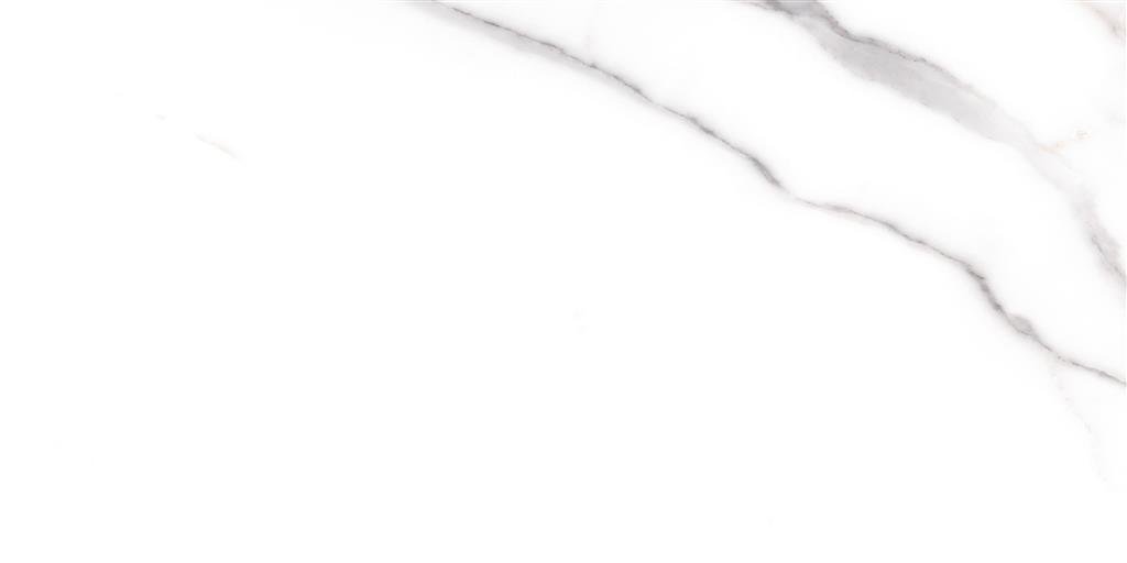 Cerdomus Omnia Statuario Matt 30x60 (R) thumbnail 3