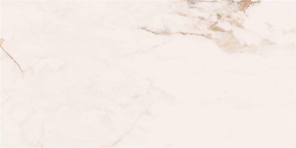 Cerdomus Omnia Machia Vecchia Matt 60x120 (R) thumbnail 4