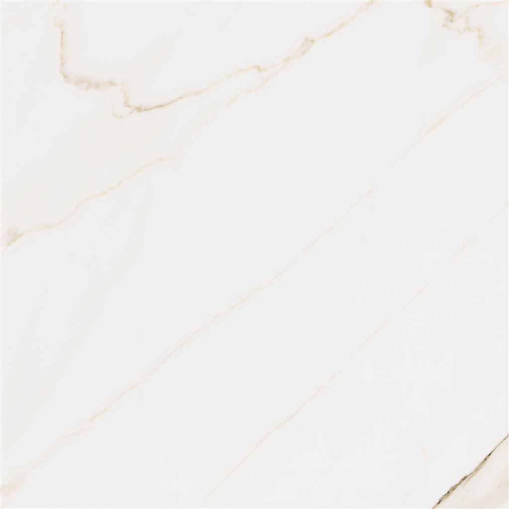 Cerdomus Omnia Calacatta Matt 60x60 (R)
