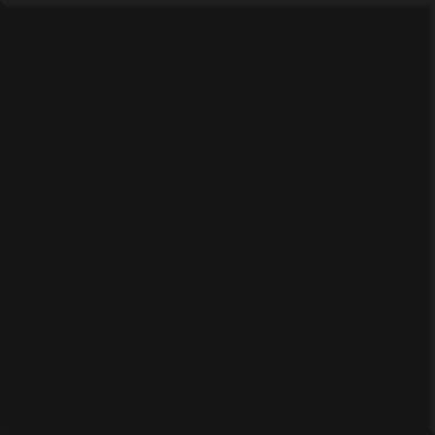 Steenbok Project Zwart Glans 15x15 (M)