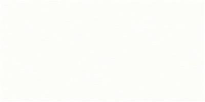 Recer Infinity White REV. 31x61