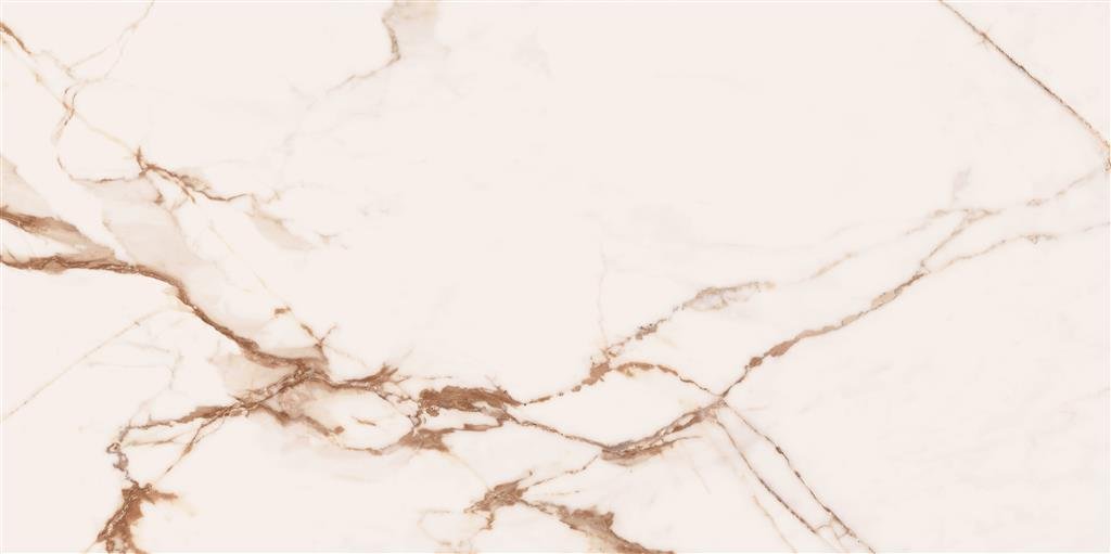 Cerdomus Omnia Machia Vecchia Matt 60x120 (R)