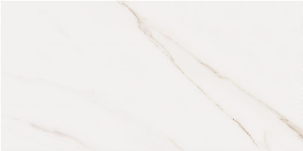 Cerdomus Omnia Calacatta Matt 30x60 (R) thumbnail 4