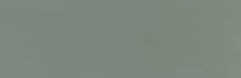 FA wt Uni Glans Duck Egg 10x30