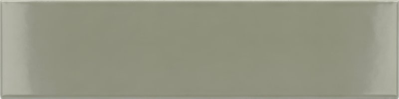 EQ wt Costa Nova Tansy Green Glans 5x20NR
