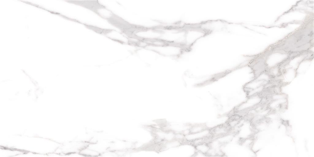 Cerdomus Omnia Statuario Matt 60x120 (R) thumbnail 3