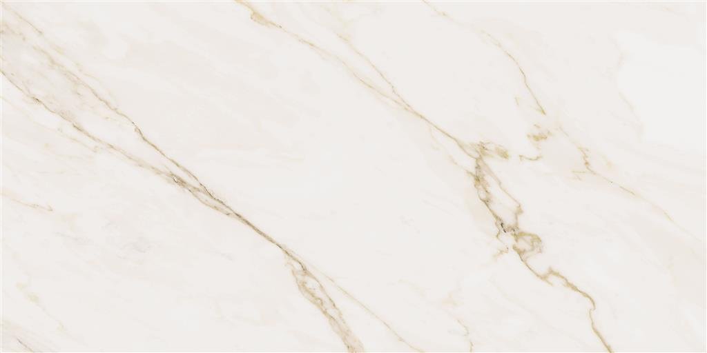 Cerdomus Omnia Calacatta Matt 30x60 (R) thumbnail 2