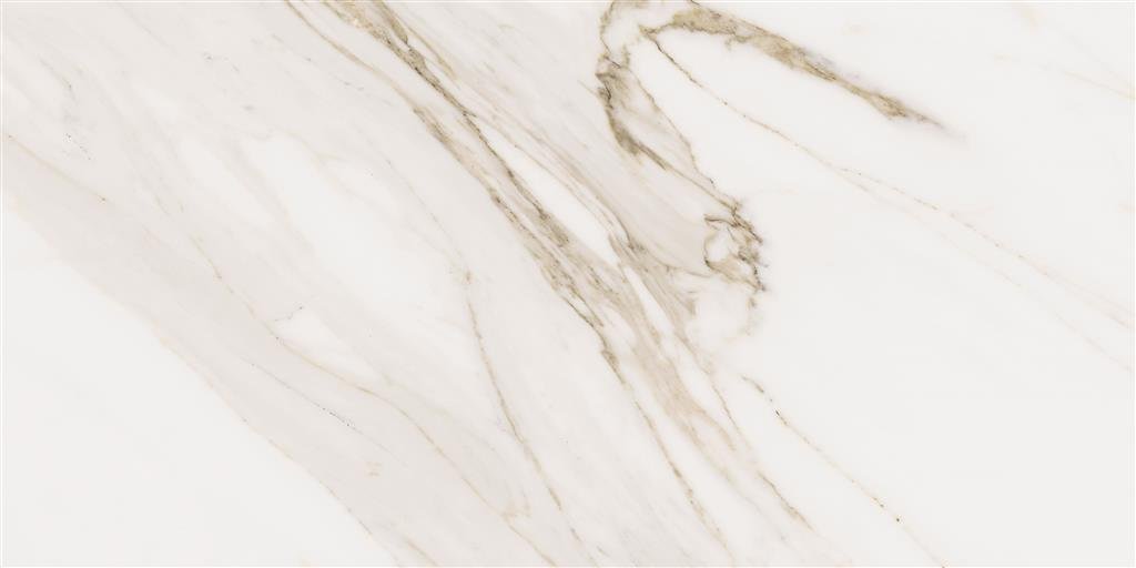 Cerdomus Omnia Calacatta Matt 30x60 (R) thumbnail 3