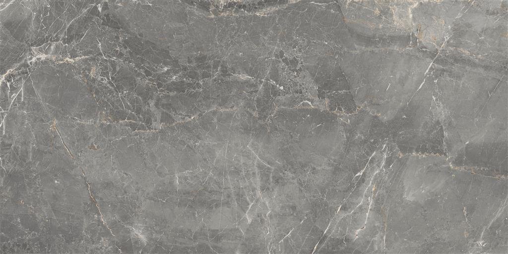 Cerdomus Sybil Silver Polished 60x120 (R) thumbnail 2