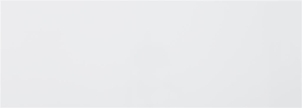 Ecoceramic Blancos White Mate 30x90 (R)