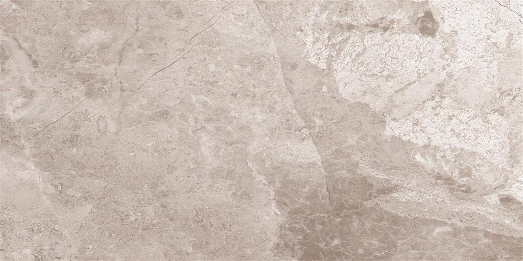 Cerdomus Omnia Hermitage Polished 30x60 (R) thumbnail 2